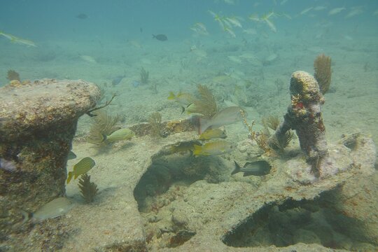 Tour image 3