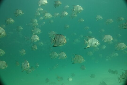 Tour image 6